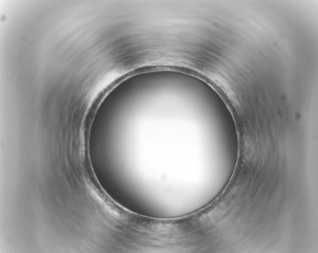 X0000088910982200706221925