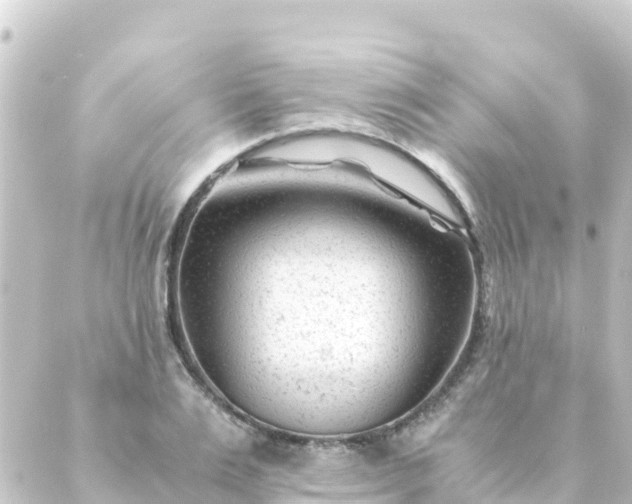 X0000088910983200706221925