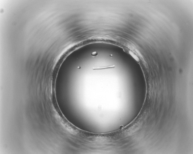 X0000088910984200706221925