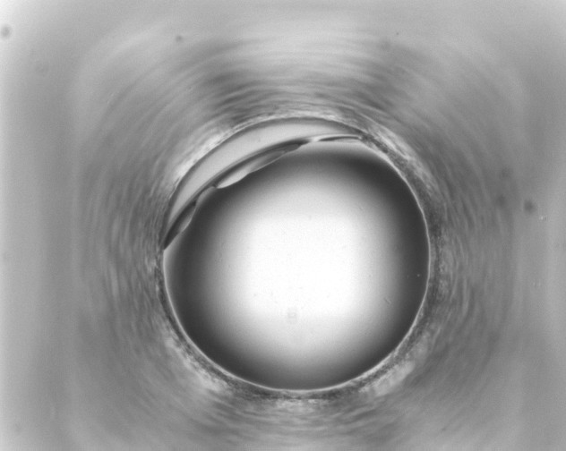 X0000088910985200706221925