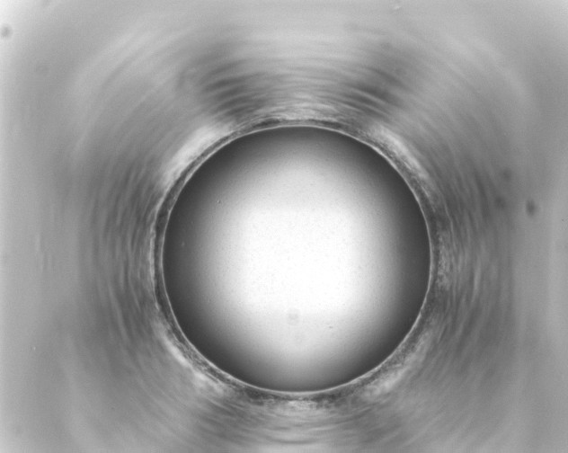 X0000088910986200706221925