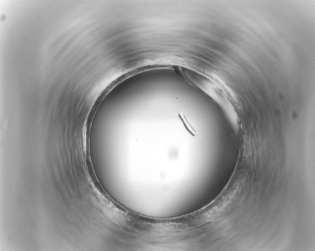 X0000088910988200706221925