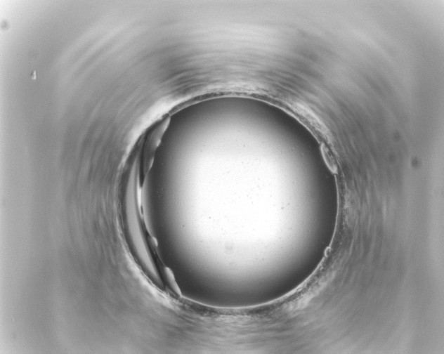 X0000088910989200706221925