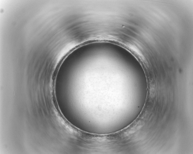 X0000088910990200706221925