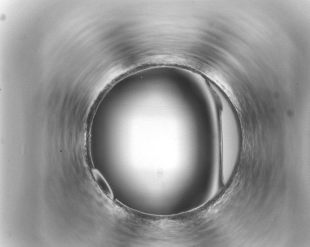 X0000088910992200706221925