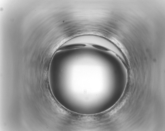 X0000088910993200706221925