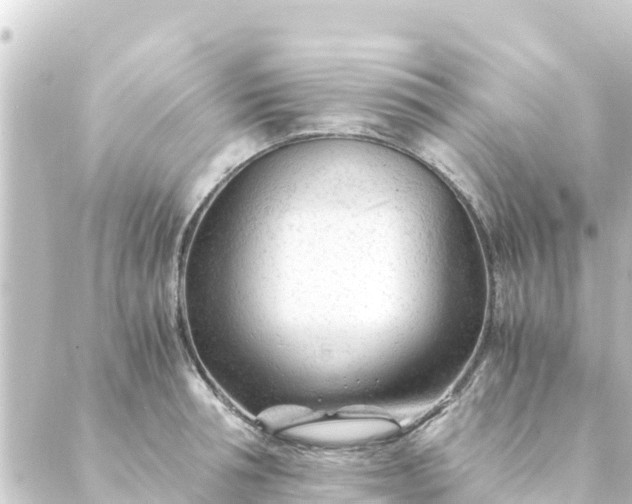 X0000088910994200706221925