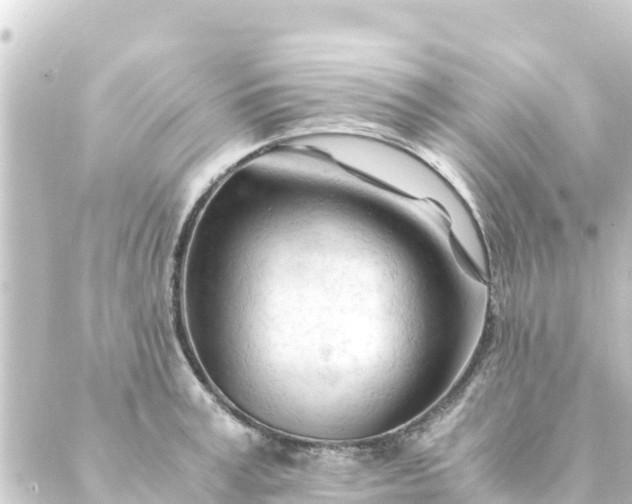 X0000088910995200706221925