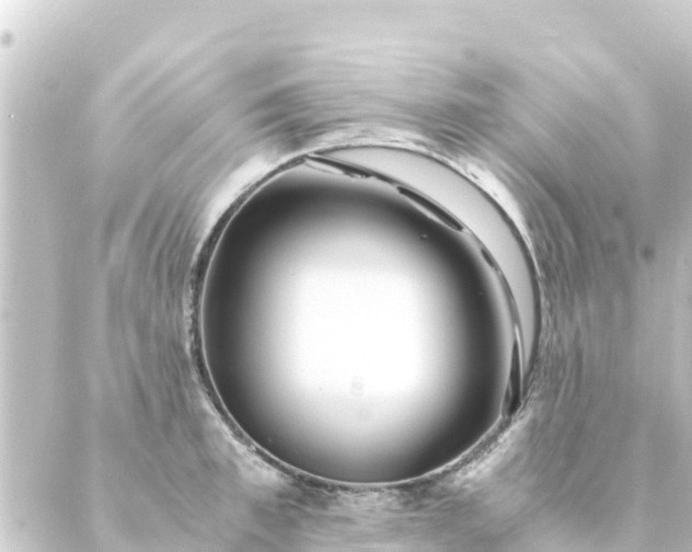 X0000088910997200706221925