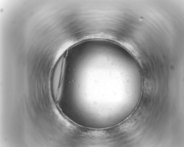 X0000088910998200706221925