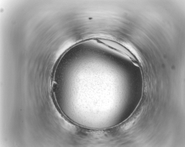 X0000088910999200706221925