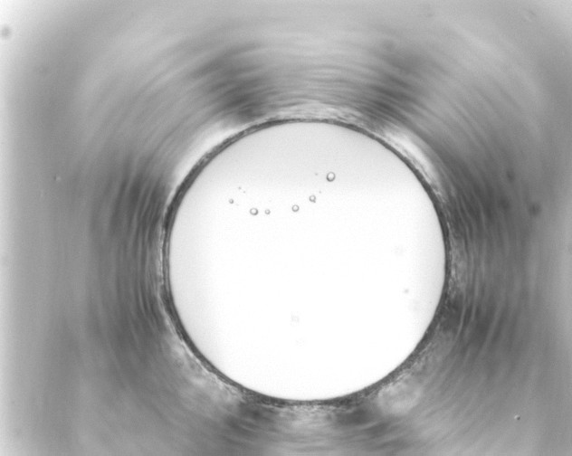 X0000088911000200706221925