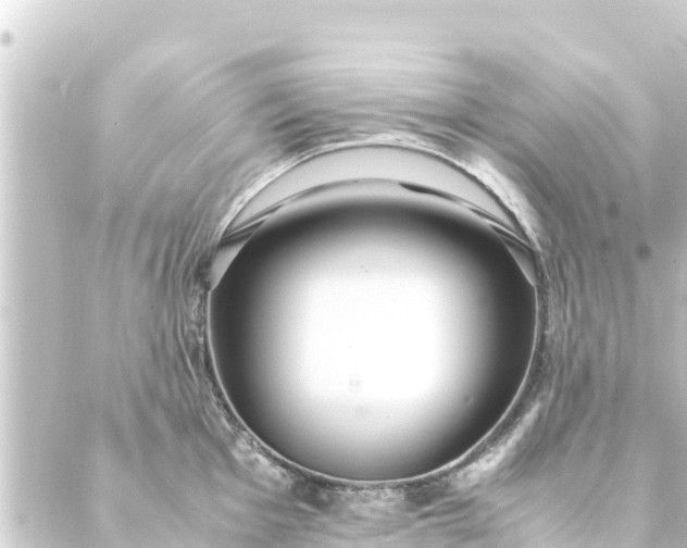 X0000088911001200706221925