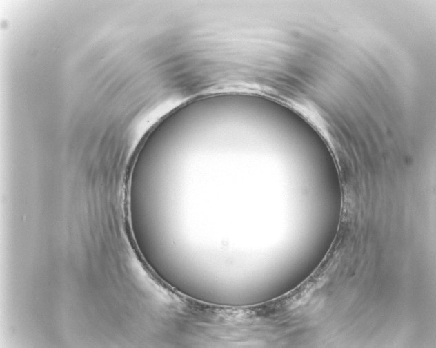 X0000088911003200706221925