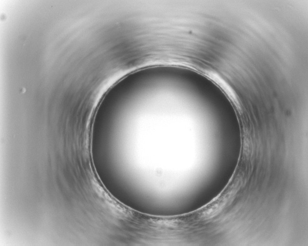 X0000088911004200706221925