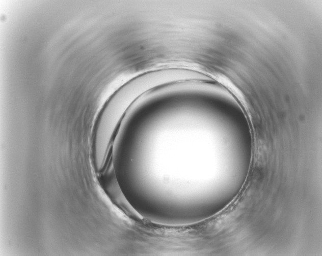 X0000088911005200706221925