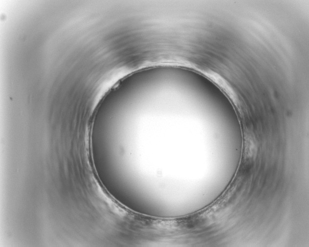 X0000088911006200706221925