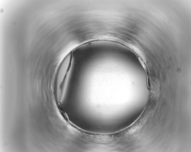 X0000088911007200706221925