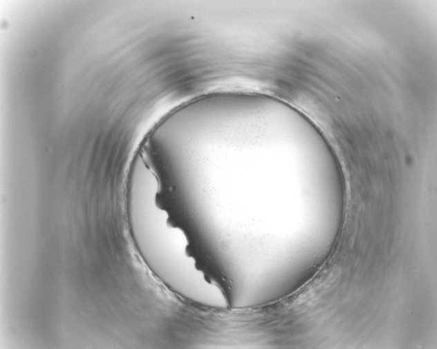 X0000088911008200706221925