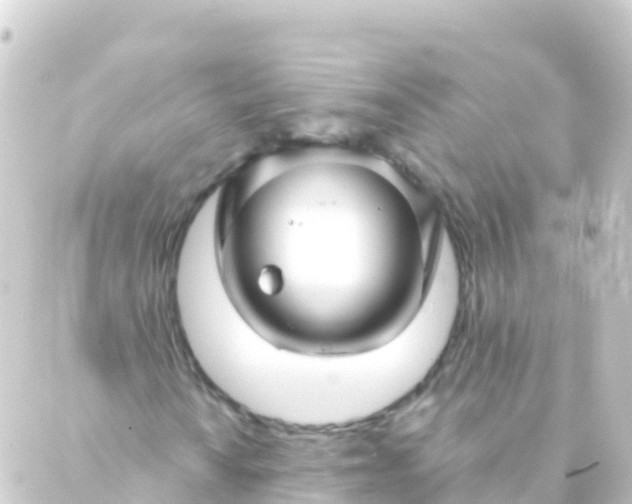 X0000088911010200706221924