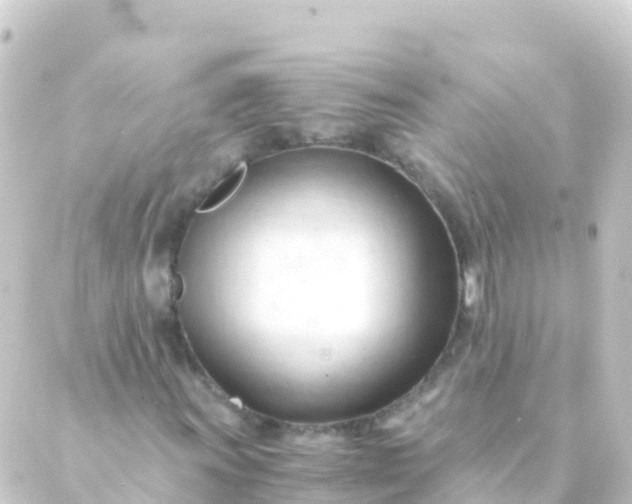 X0000088911011200706221924