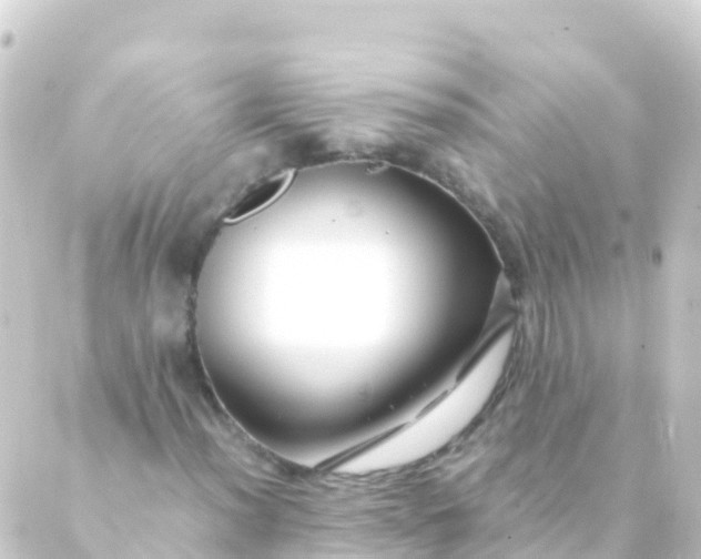 X0000088911012200706221924