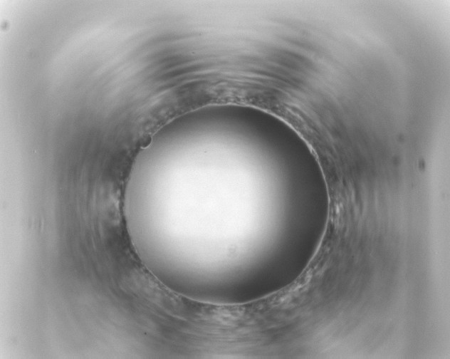 X0000088911013200706221924