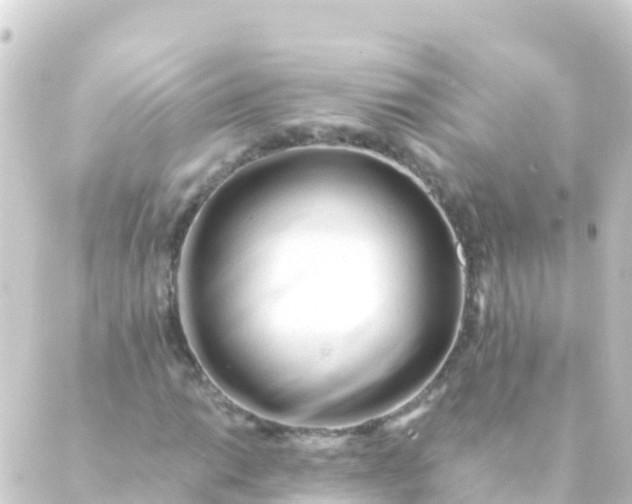 X0000088911014200706221924