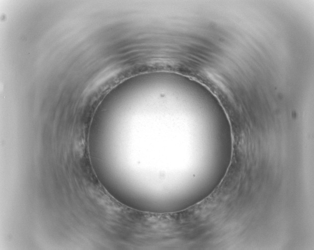 X0000088911015200706221924