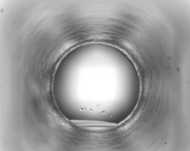 X0000088911017200706221924