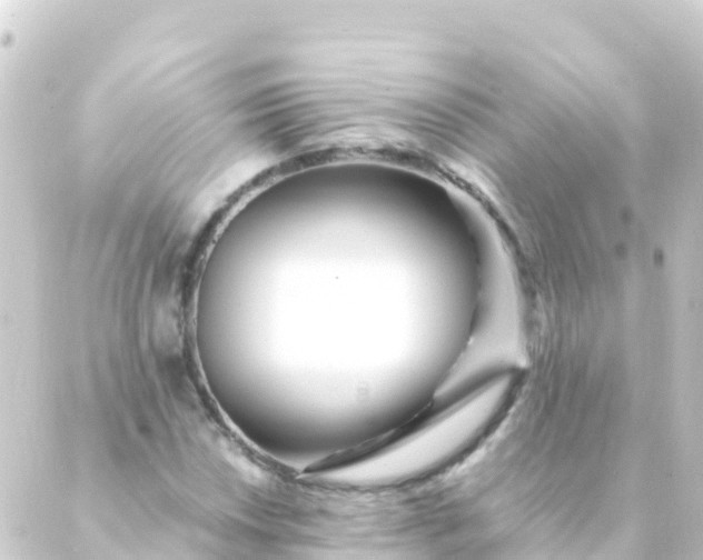 X0000088911018200706221924