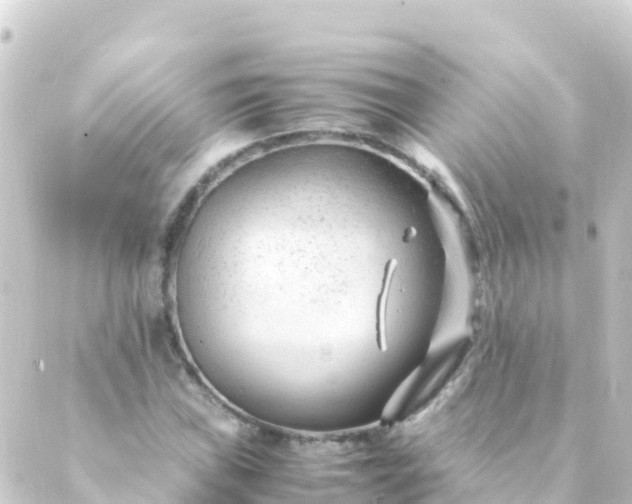 X0000088911019200706221924