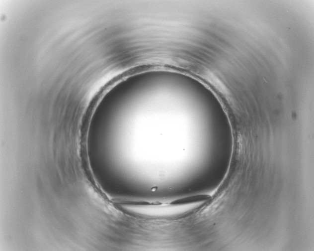 X0000088911020200706221924