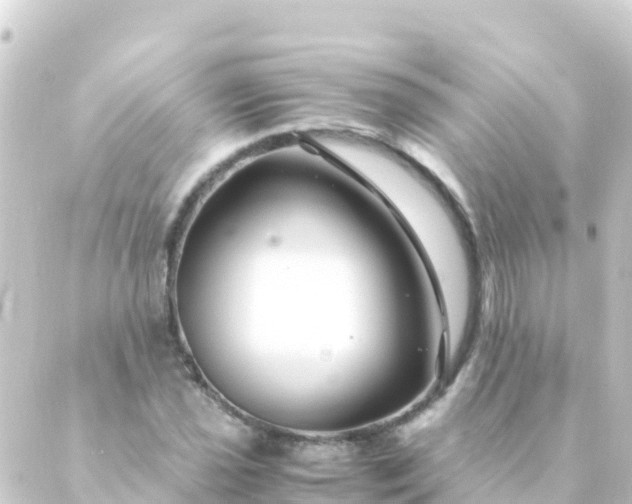 X0000088911021200706221924