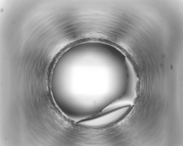 X0000088911022200706221924