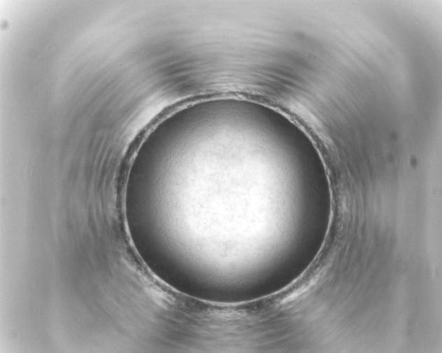 X0000088911023200706221924