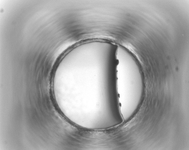 X0000088911024200706221924