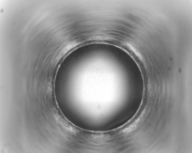 X0000088911025200706221924