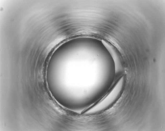 X0000088911026200706221924