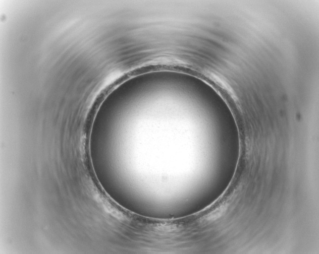 X0000088911029200706221924