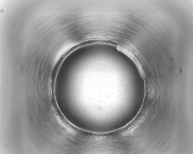 X0000088911030200706221924