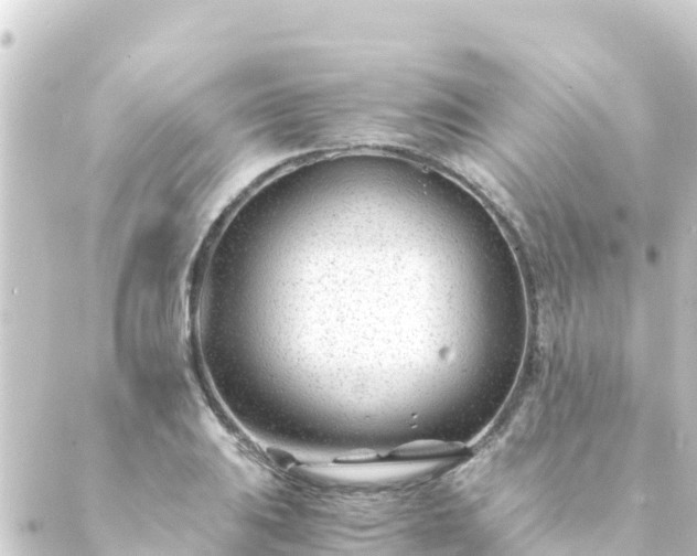 X0000088911031200706221924