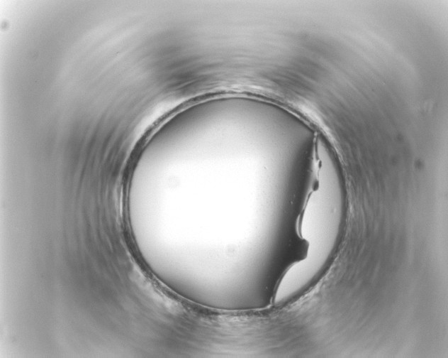 X0000088911032200706221924