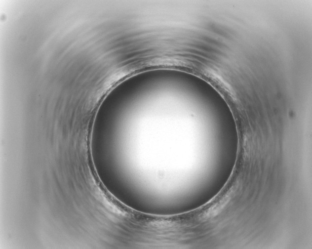 X0000088911033200706221924