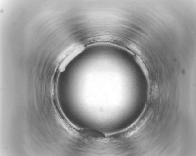 X0000088911034200706221924