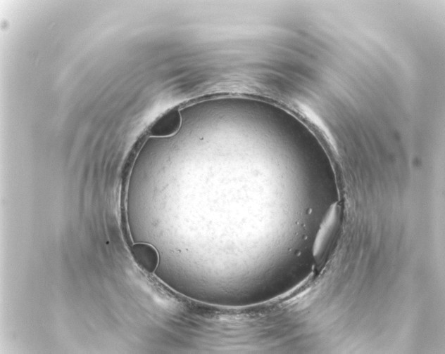 X0000088911035200706221924