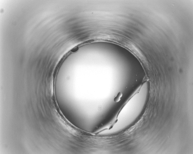 X0000088911036200706221924