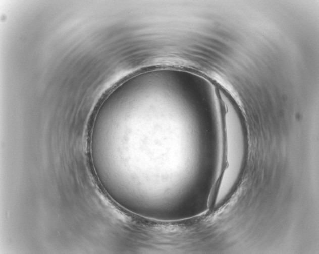 X0000088911037200706221924