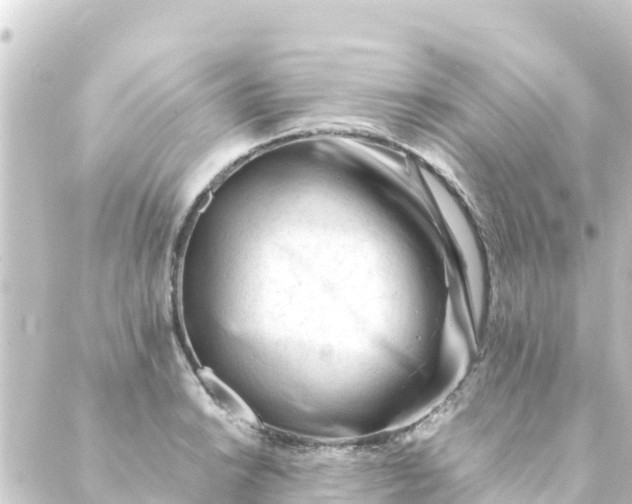 X0000088911038200706221924