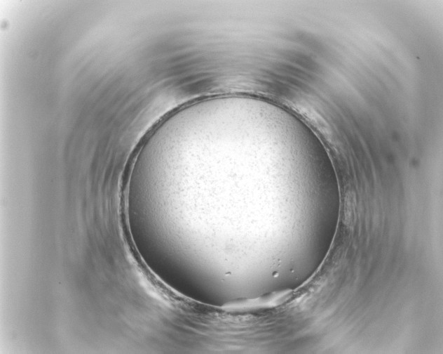 X0000088911039200706221924